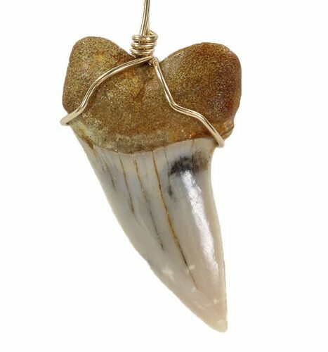 Fossil Mako Tooth Necklace - Bakersfield, California #95250